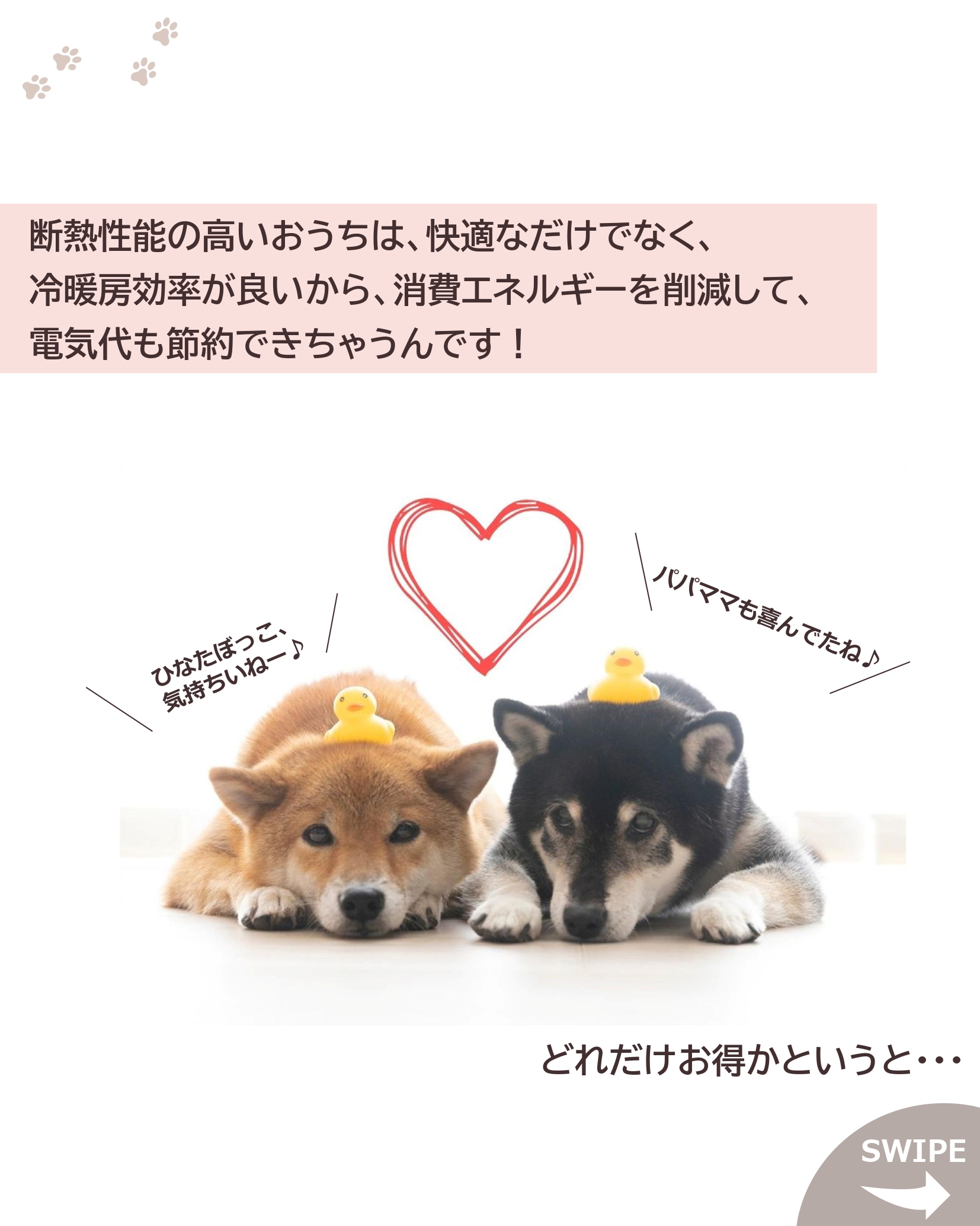 愛犬と快適に暮らすための断熱性と省エネを考えた家づくり